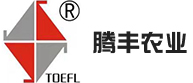 星空官方网页版