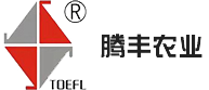 星空官方网页版